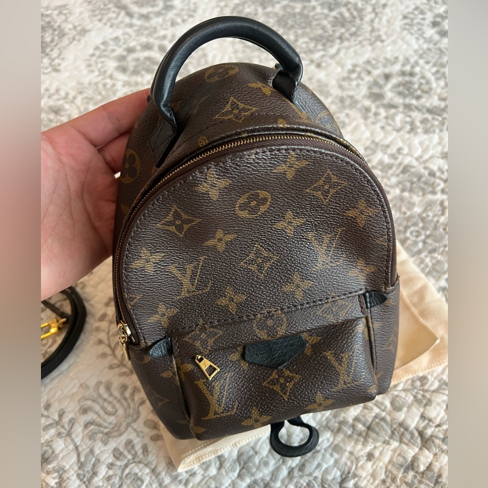 Louis Vuitton Mini Palm Springs
